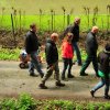 1.Mai Wanderung 2015 - Bilder von Nico