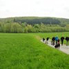 1.Mai Wanderung 2015 - Bilder von Nico