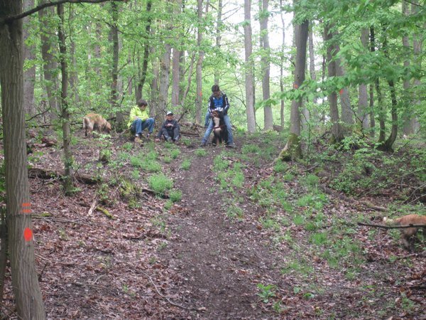 1. Mai Wanderung - Bilder von Ingo