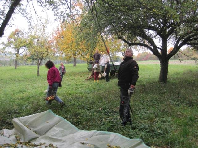 Vom Apfel zum Saft 2015