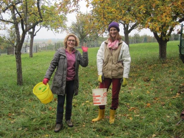 Vom Apfel zum Saft 2015