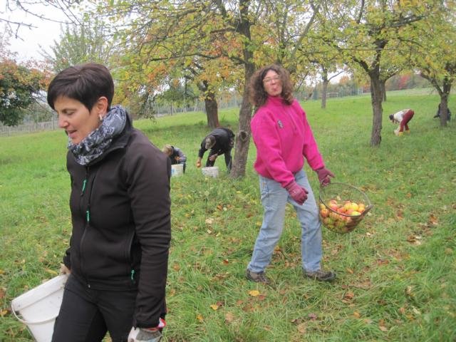 Vom Apfel zum Saft 2015