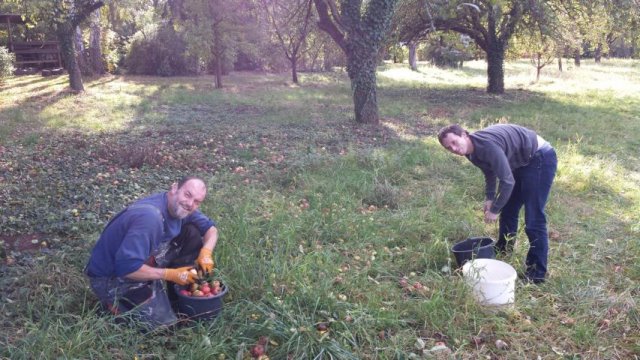 Vom Apfel zum Saft