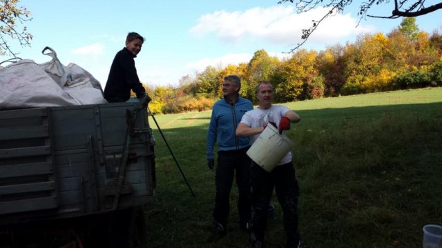 Vom Apfel zum Saft