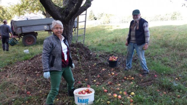 Vom Apfel zum Saft