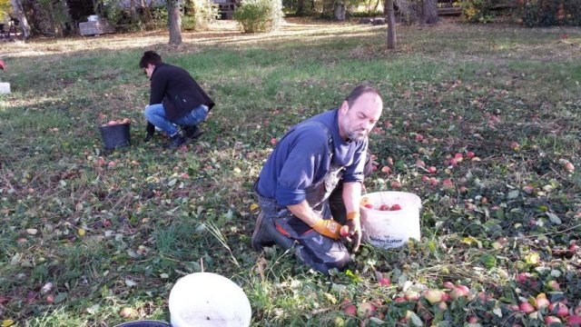 Vom Apfel zum Saft