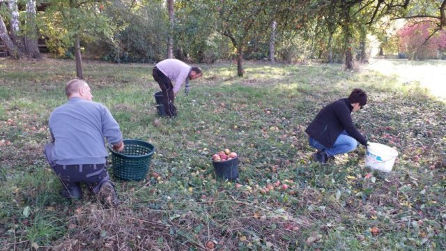 Vom Apfel zum Saft