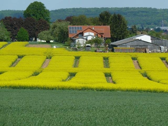 1. Mai Wanderung 2018