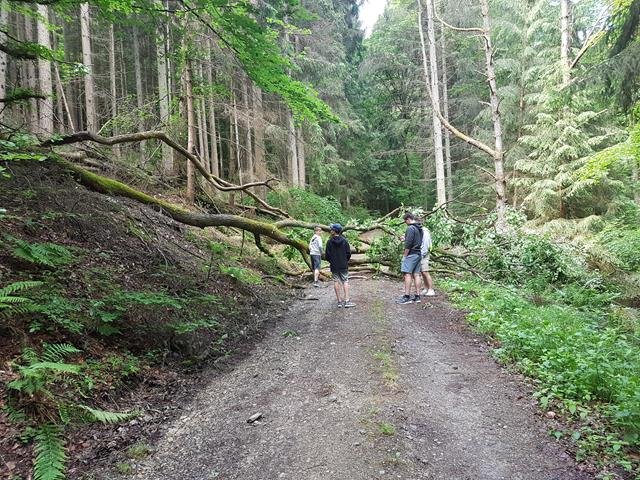 Traktorfahrt Eschbacher Klippen