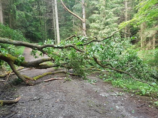 Traktorfahrt Eschbacher Klippen