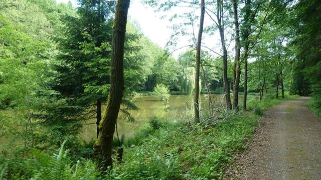 Traktorfahrt Eschbacher Klippen